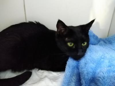 Прикрепленное изображение: IMG_20211103_212224.jpg